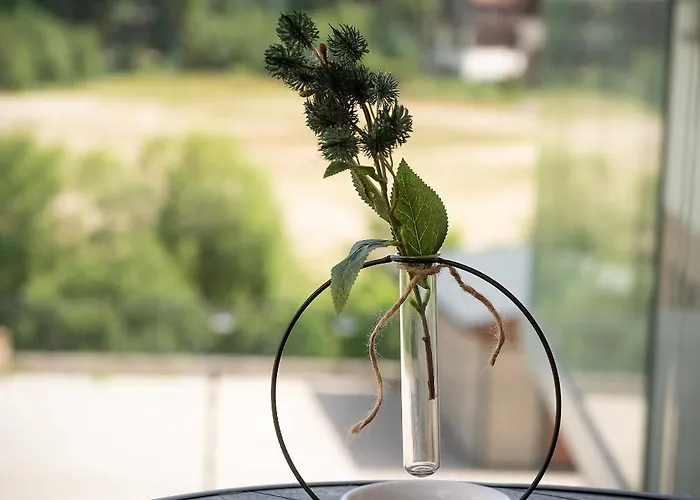 Apartment Panorama Karkonoszy